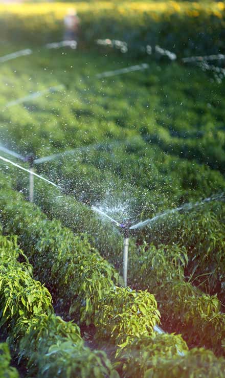 LA Lawn LLC Irrigation System Repair